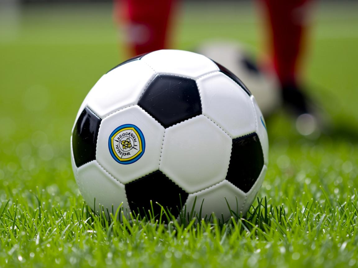 九游官网入口充值-“短柄墙球：高新区全民健身馆，比赛不止是对抗，更是智商与反应速度的比拼”  第2张