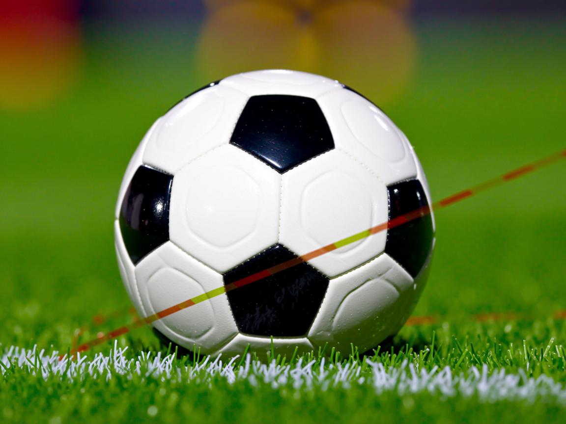 九游官网入口-“福乐球赛场，激情四射，新都香城迎高潮”  第2张