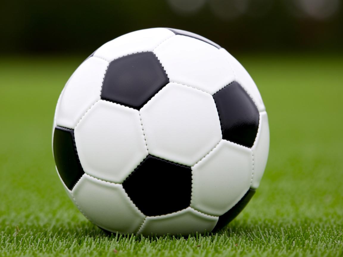 九游娱乐入口-亚冠联赛国家队惨败 球迷呼吁改变策略，亚冠联赛扩军