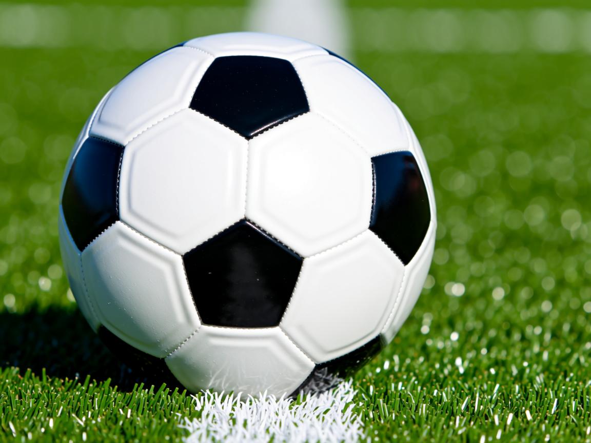 九游娱乐官方平台-后程冲刺出彩，耐力型选手引关注，后程发力的意思  第2张