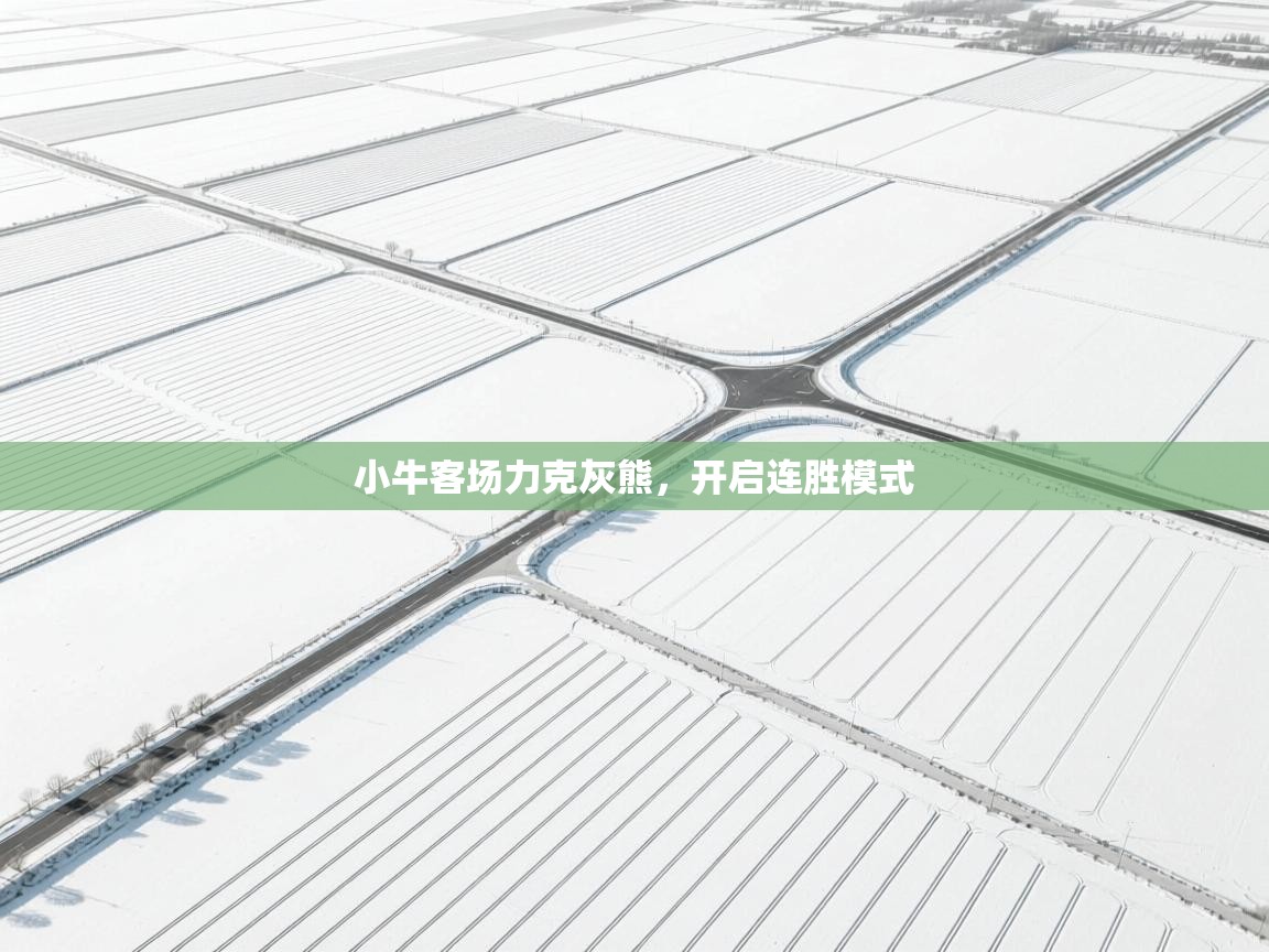 小牛客场力克灰熊,开启连胜模式 第1张