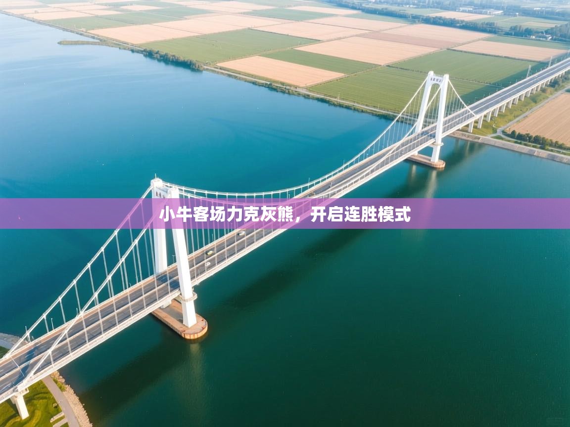 小牛客场力克灰熊,开启连胜模式 第2张